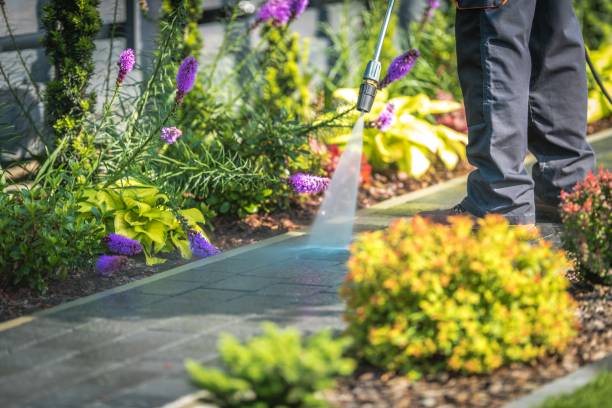 Best Restaurant Pressure Washing  in Clark, SD